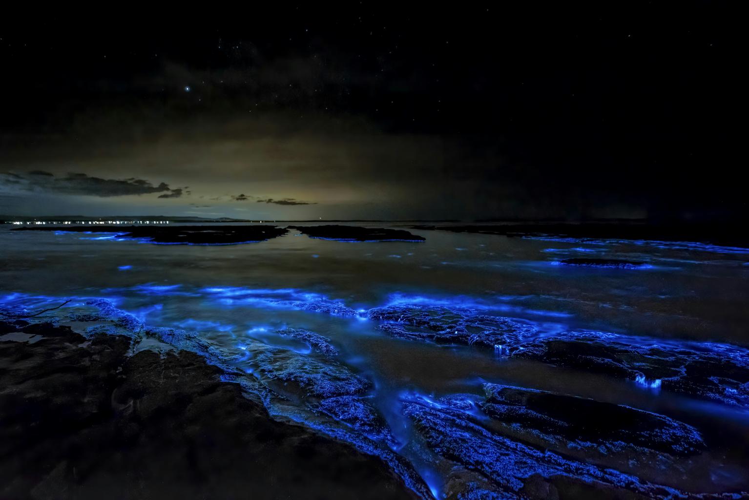 Hands glowing with bioluminescent light in water during night kayak