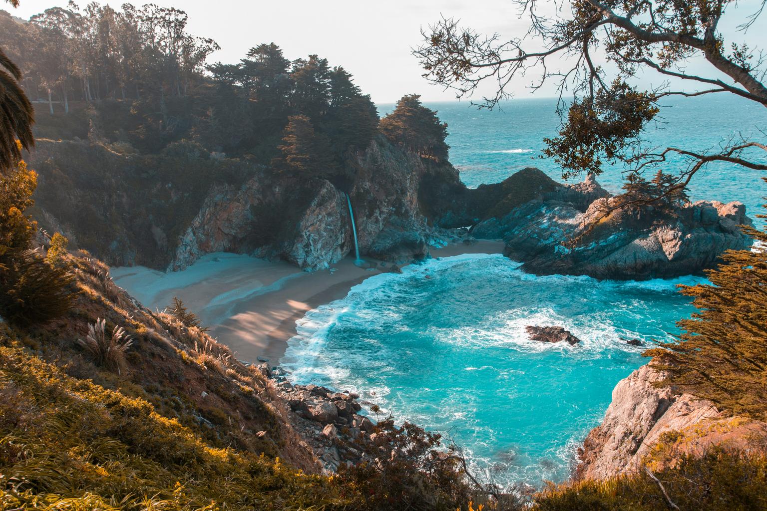 Sea turtles and dolphins near hidden beach