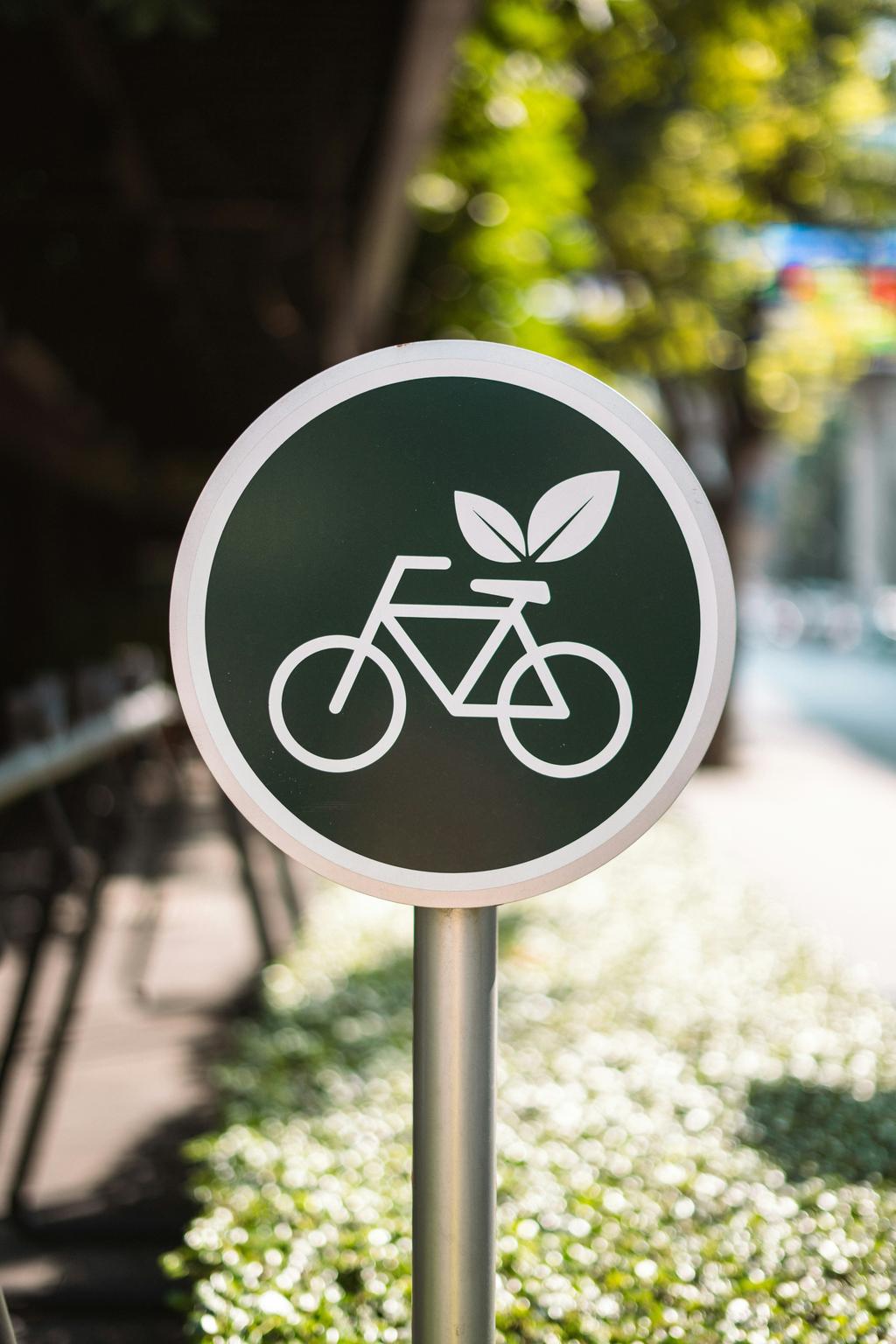 Group using local green transport options