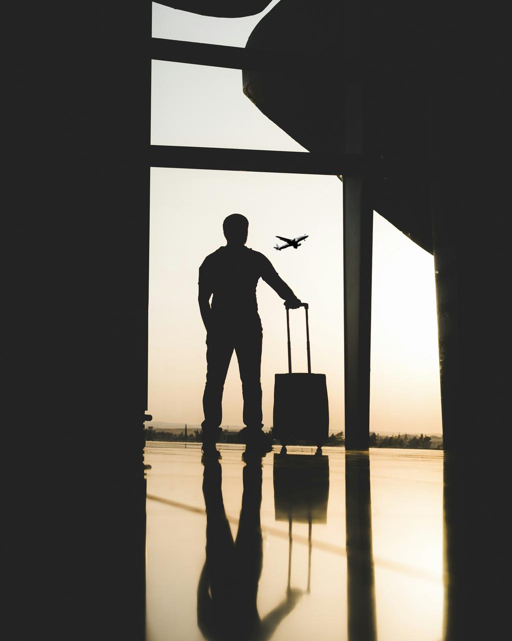 Human travel agent consultation