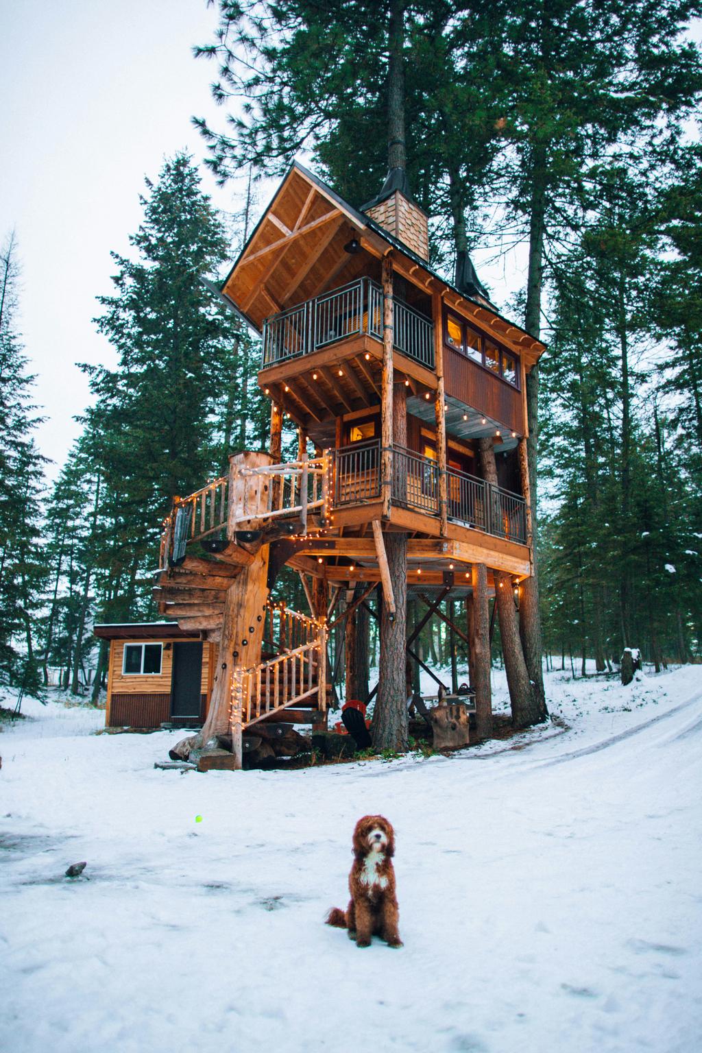 Treehouse cabin in nature