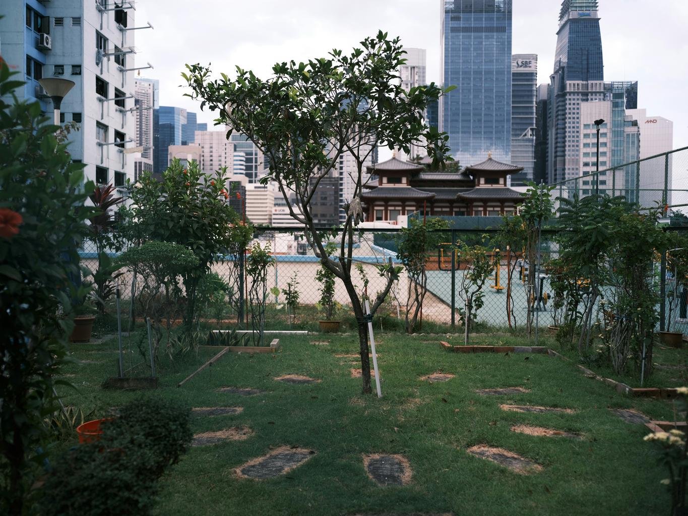 Cityscape with people enjoying a short city retreat