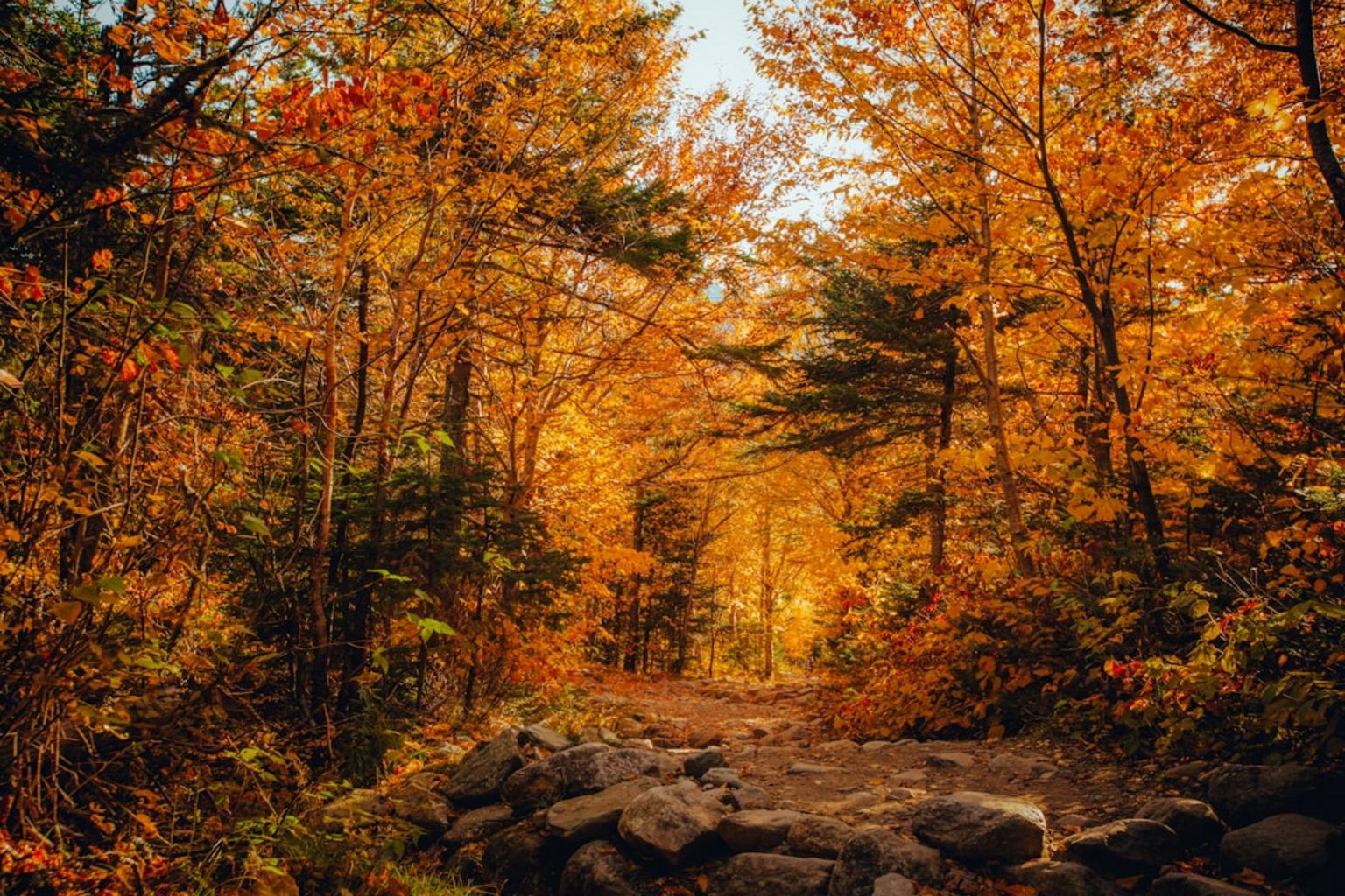 Preparing yourself for fall travel essentials