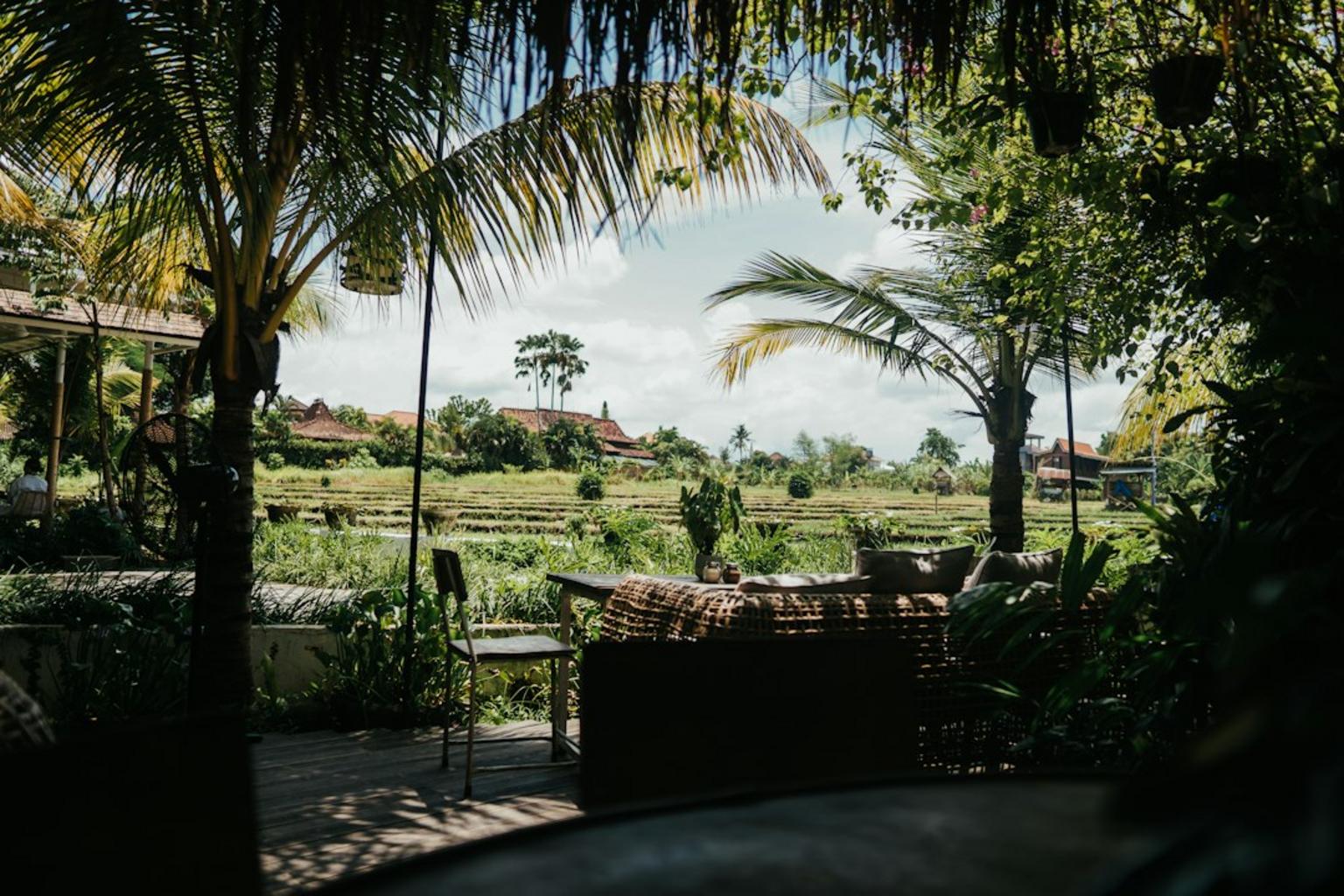 Wellness retreat with yoga and spa treatments