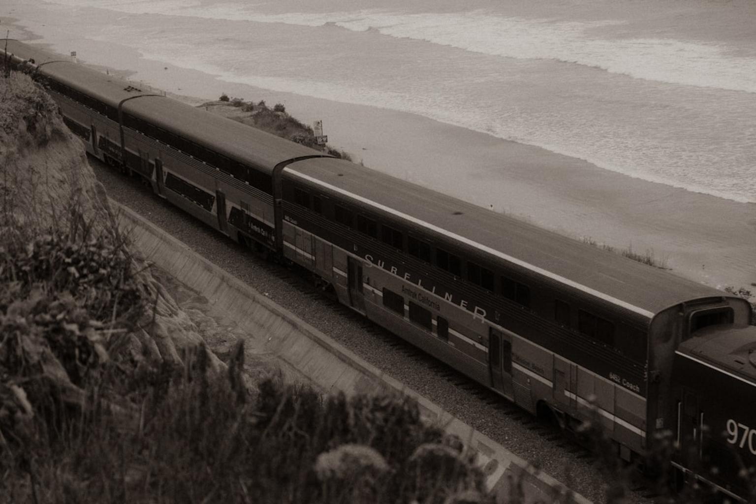 Island Express train running along palm-lined coastal tracks
