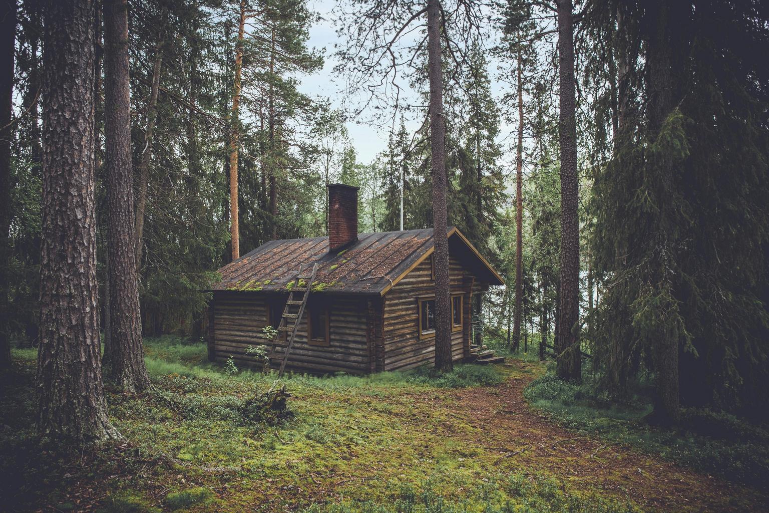 person enjoying nature without digital devices