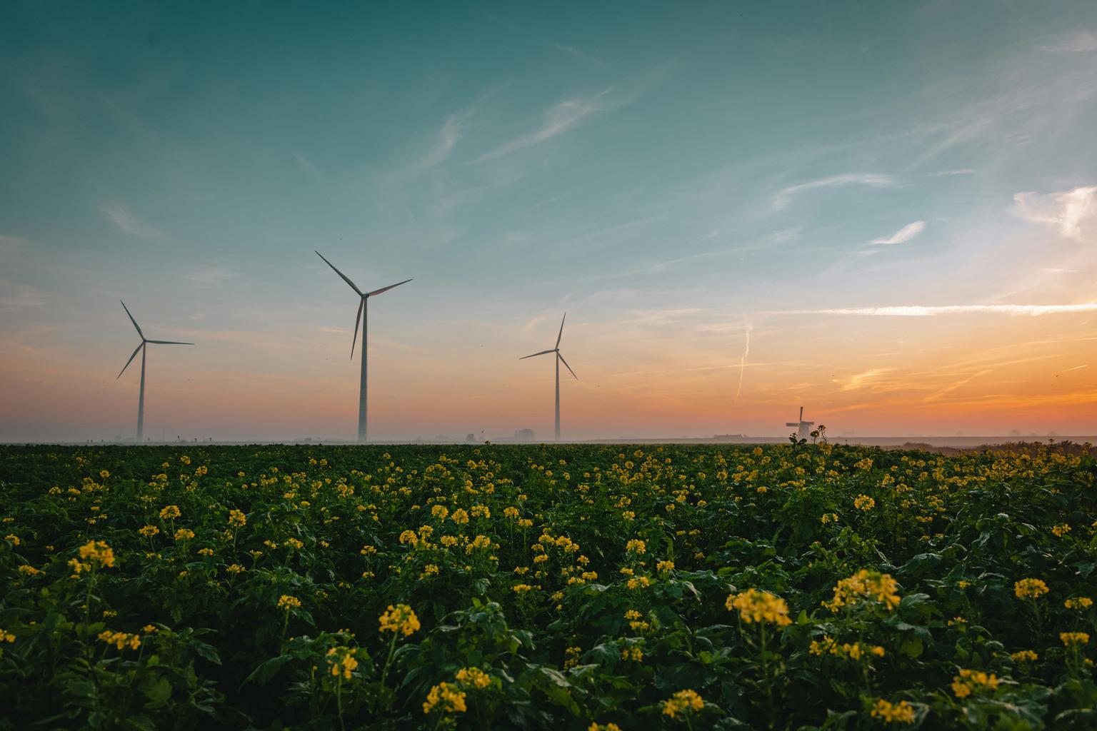 Sustainable transport options for group travel