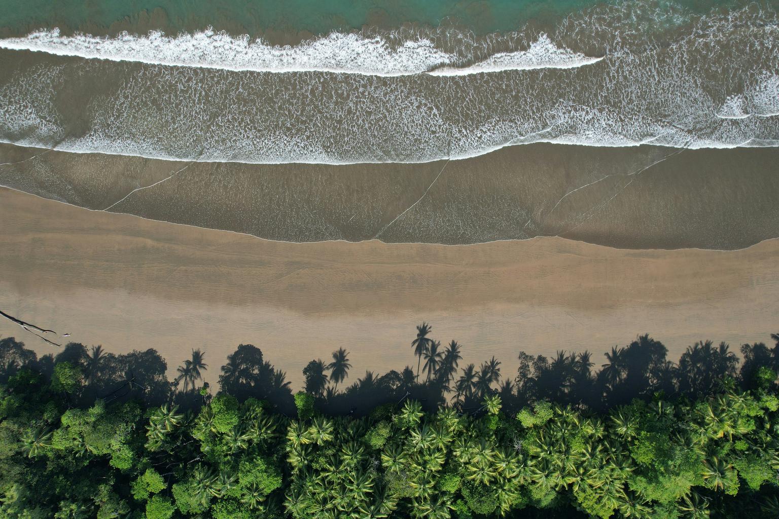 Eco friendly beaches and conservation icons