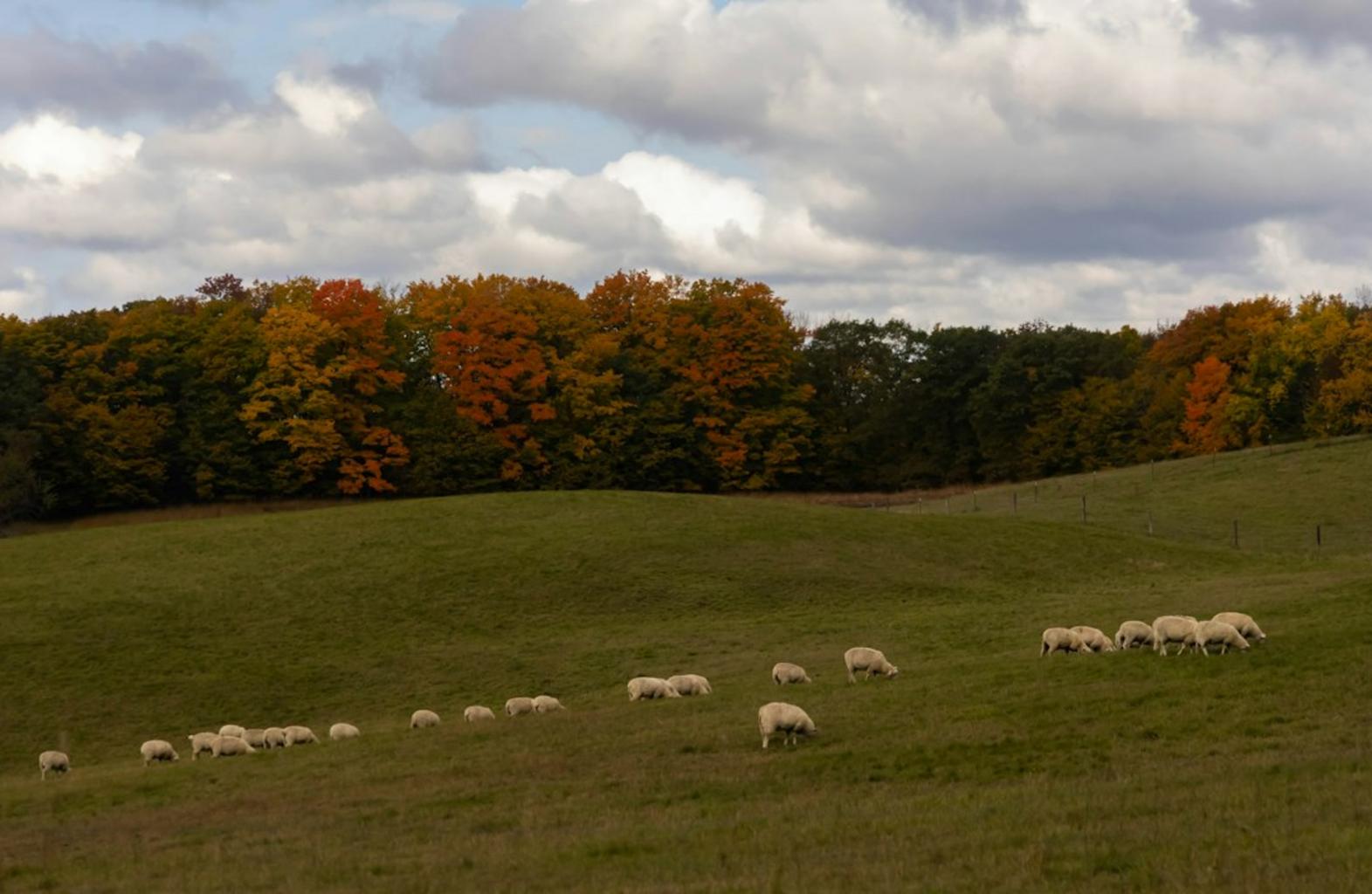 Benefits of traveling solo in September with fewer crowds and nicer prices